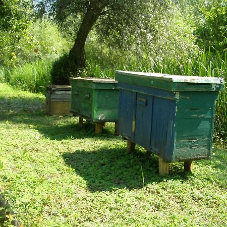Pelican City Vylkove Exterior photo