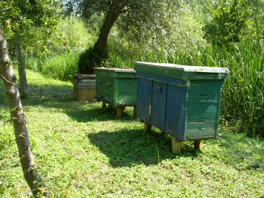 Pelican City Vylkove Exterior photo